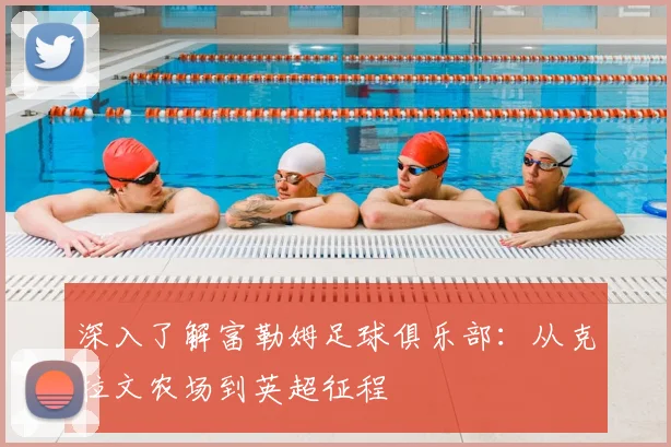 深入了解富勒姆足球俱乐部:从克拉文农场到英超征程
