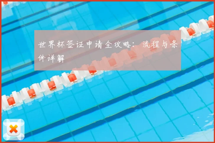世界杯签证申请全攻略:流程与条件详解