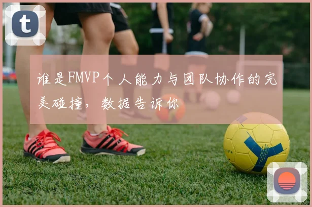 谁是FMVP个人能力与团队协作的完美碰撞，数据告诉你
